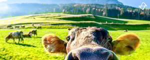 Farmhack_Bitnamic_Software