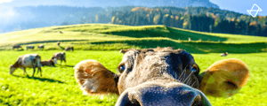 Farmhack_Bitnamic_Software
