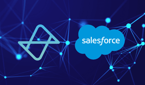 bitnamic_CONNECT_Salesforce_Integration-4