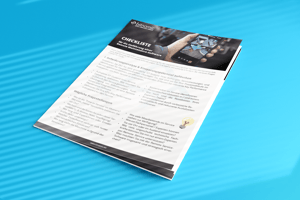 PDF_Bild_Checkliste_RemoteMaintenance